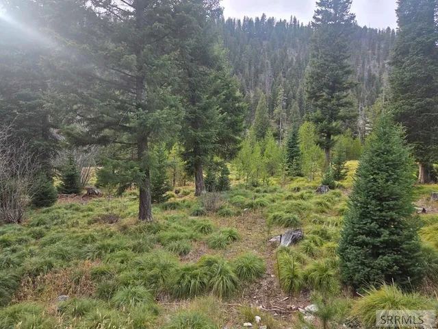 $84,180 | Lot 18 Kokopelli Drive, Gibbsonville, ID 83463