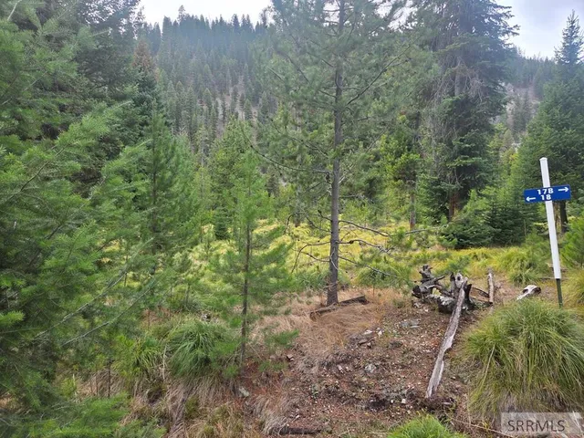 $84,180 | Lot 18 Kokopelli Drive, Gibbsonville, ID 83463