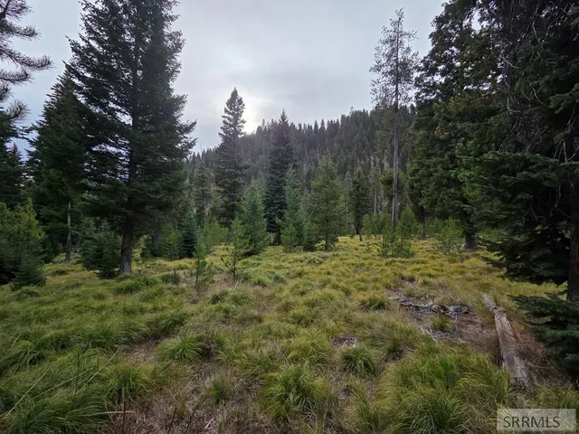 $84,180 | Lot 18 Kokopelli Drive, Gibbsonville, ID 83463