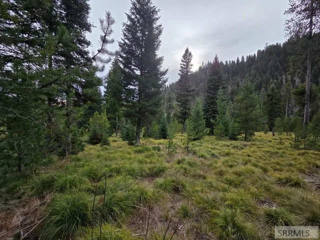 $84,180 | Lot 18 Kokopelli Drive, Gibbsonville, ID 83463