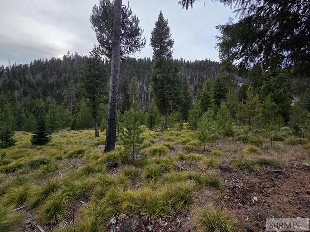 $84,180 | Lot 18 Kokopelli Drive, Gibbsonville, ID 83463
