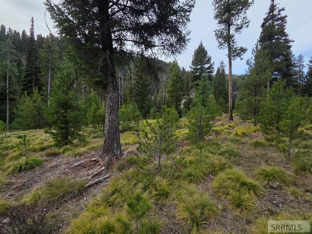 $84,180 | Lot 18 Kokopelli Drive, Gibbsonville, ID 83463