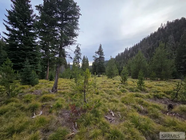 $84,180 | Lot 18 Kokopelli Drive, Gibbsonville, ID 83463