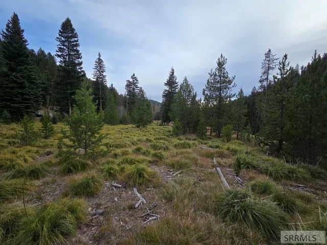 $84,180 | Lot 18 Kokopelli Drive, Gibbsonville, ID 83463