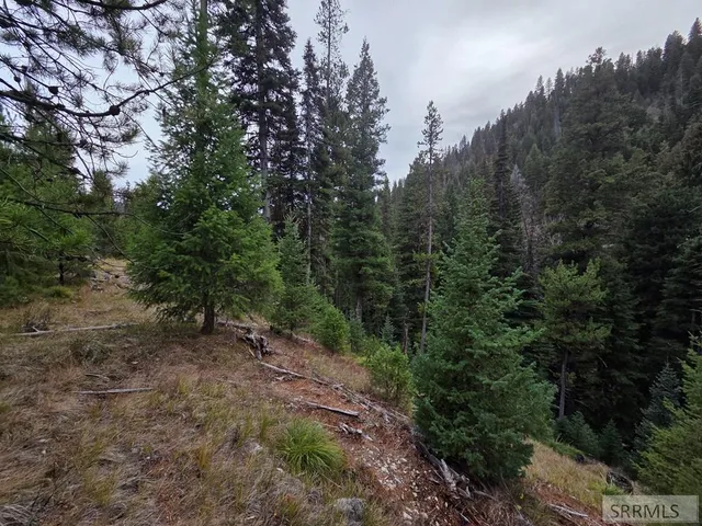 $84,180 | Lot 18 Kokopelli Drive, Gibbsonville, ID 83463