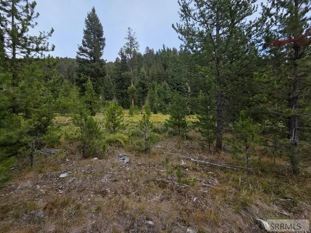 $84,180 | Lot 18 Kokopelli Drive, Gibbsonville, ID 83463