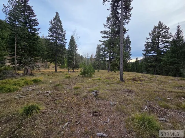 $84,180 | Lot 18 Kokopelli Drive, Gibbsonville, ID 83463