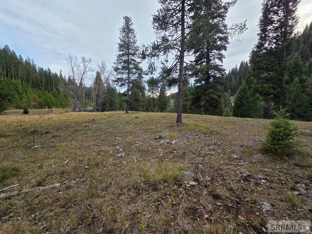 $84,180 | Lot 18 Kokopelli Drive, Gibbsonville, ID 83463