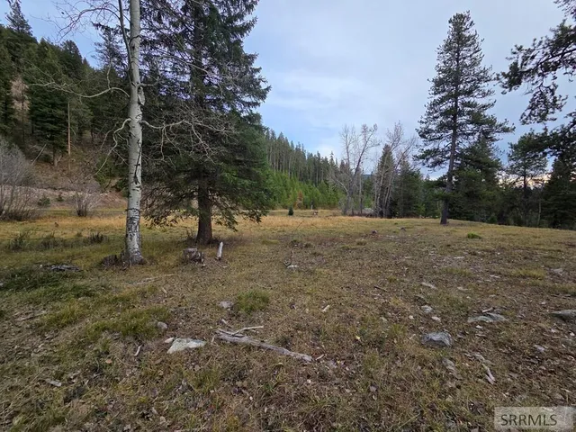 $84,180 | Lot 18 Kokopelli Drive, Gibbsonville, ID 83463