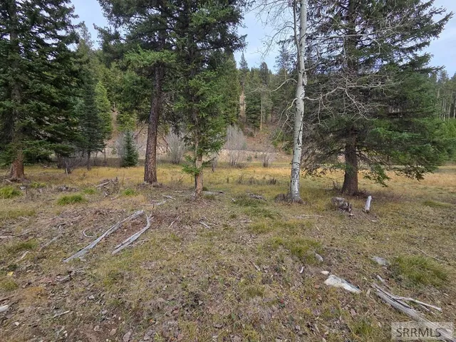 $84,180 | Lot 18 Kokopelli Drive, Gibbsonville, ID 83463