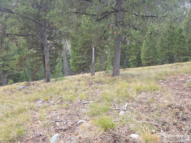 $84,180 | Lot 18 Kokopelli Drive, Gibbsonville, ID 83463