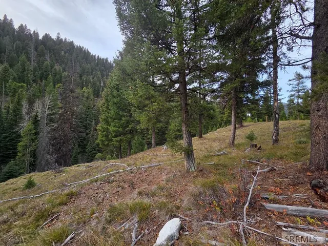 $84,180 | Lot 18 Kokopelli Drive, Gibbsonville, ID 83463