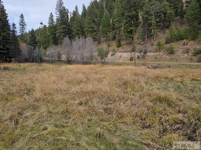 $84,180 | Lot 18 Kokopelli Drive, Gibbsonville, ID 83463