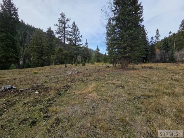 $84,180 | Lot 18 Kokopelli Drive, Gibbsonville, ID 83463