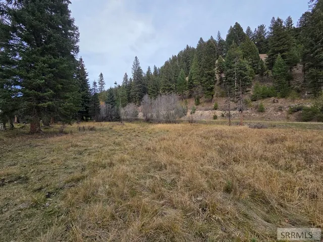 $84,180 | Lot 18 Kokopelli Drive, Gibbsonville, ID 83463