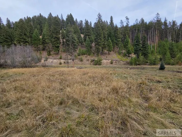 $84,180 | Lot 18 Kokopelli Drive, Gibbsonville, ID 83463