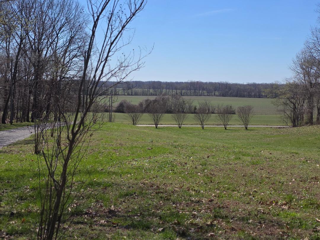 25014 Fayville Road Olive Branch, IL 62969 - Photo 7 of 34