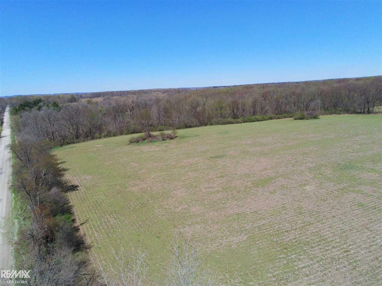 Coon Creek Road Armada, MI 48005 - Photo 6 of 9