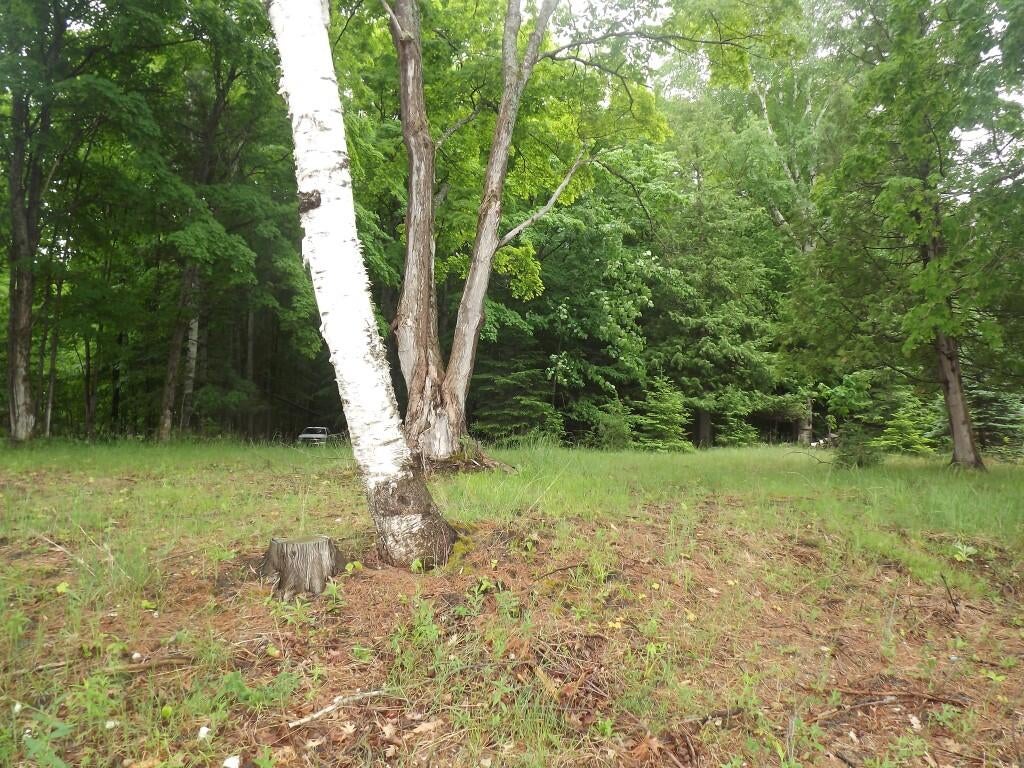 East Mullett Lake Road Indian River, MI 49749 - Photo 37 of 42 Gallery Image 37