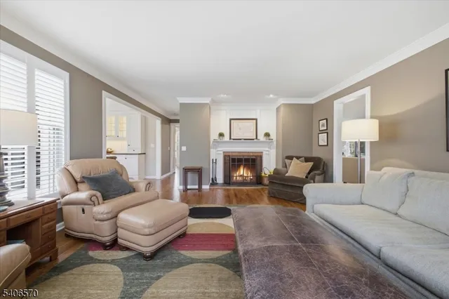 a living room with furniture or couch and a fireplace