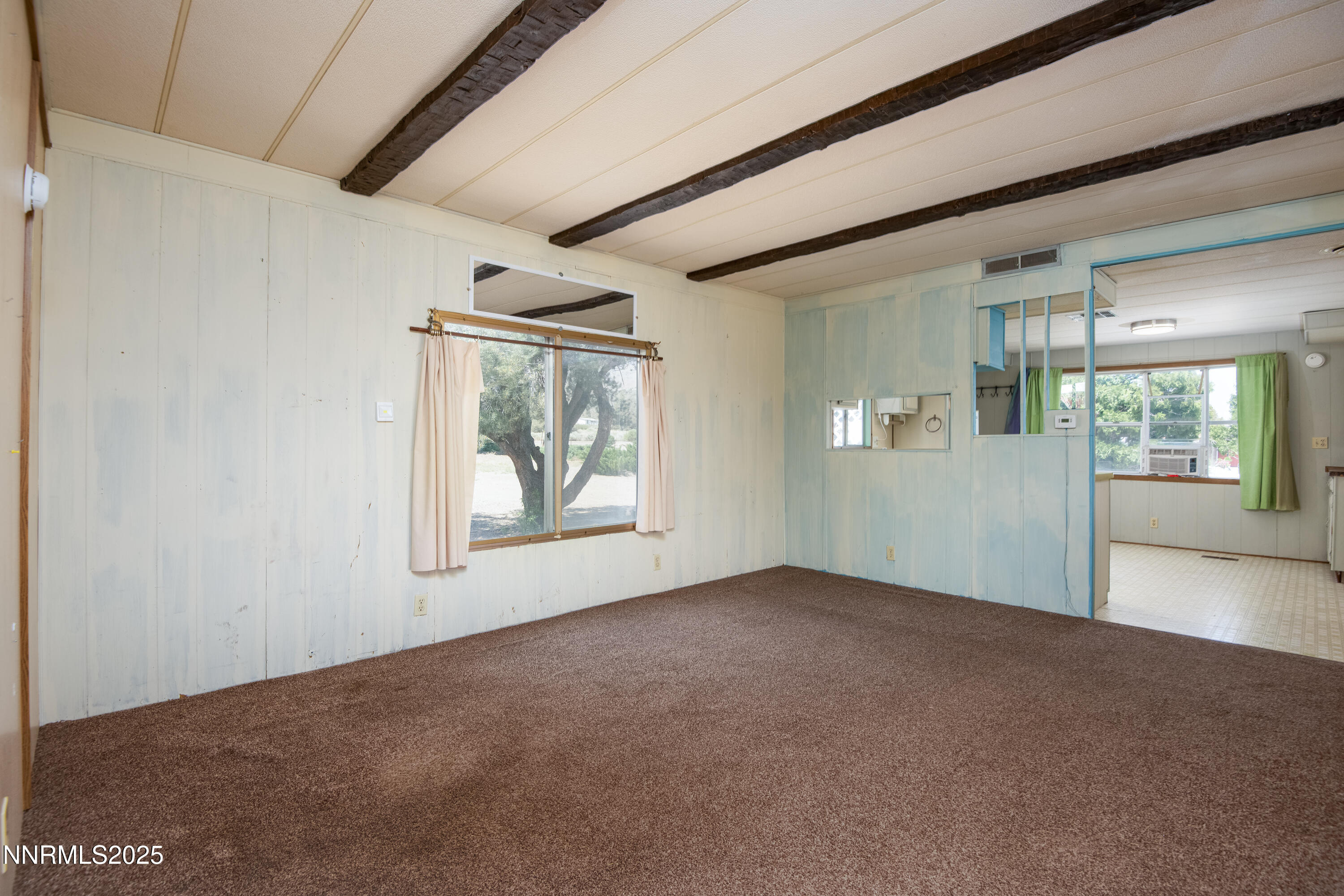 3821 Pebble Road Topaz Ranch Estates, NV 89444 - Photo 6 of 33 3821 Pebble Rd-30