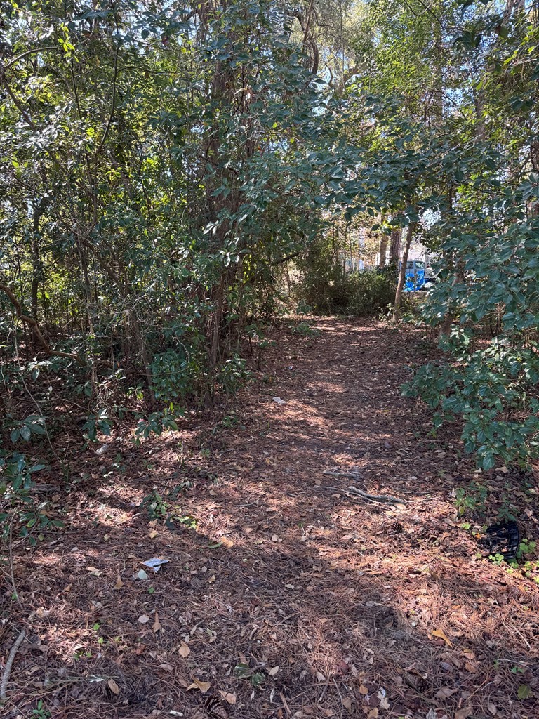 Gallery Image 6
