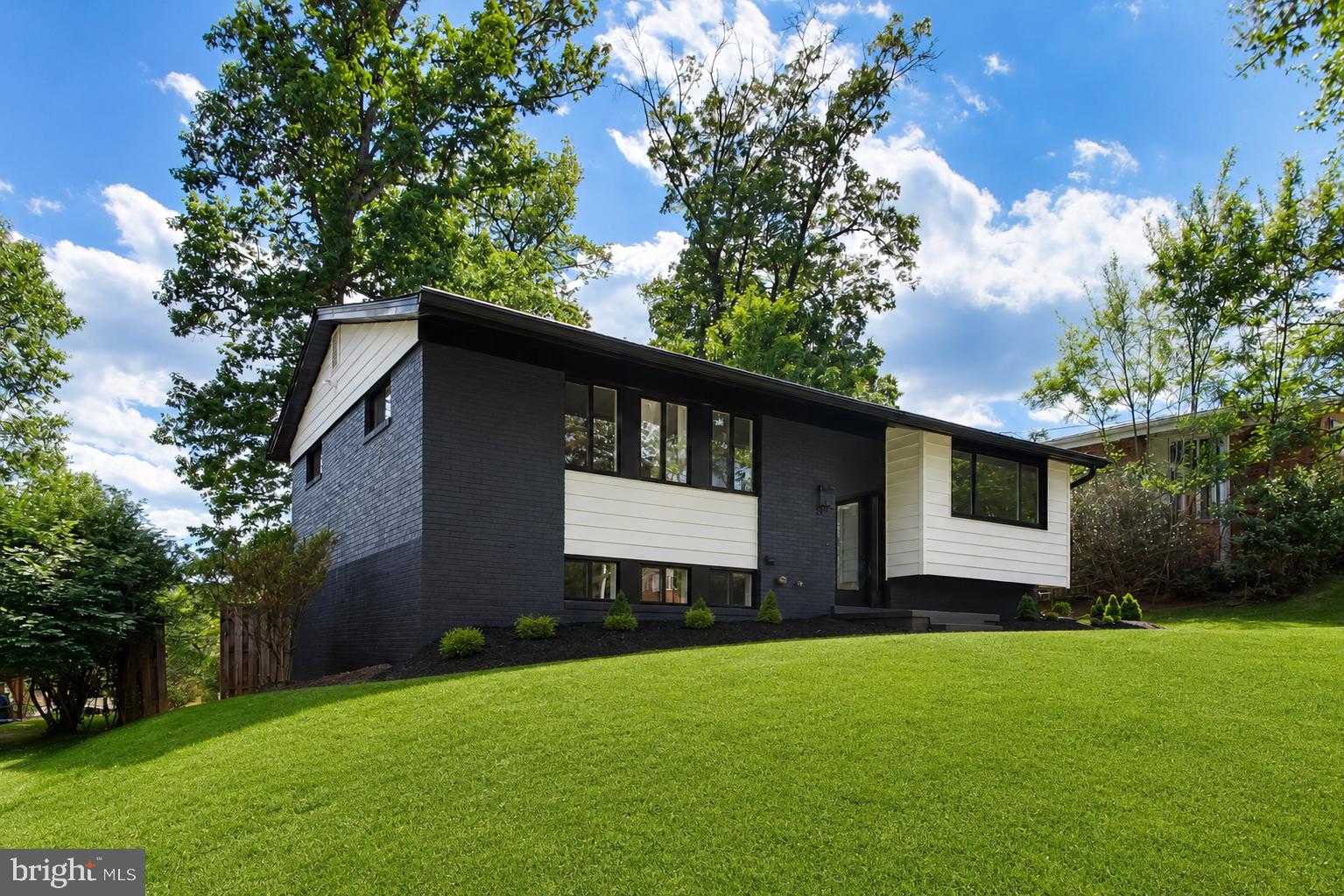810 Malta Lane Silver Spring, MD 20901 - Photo 3 of 35 Modern elegance on a lush hillside.