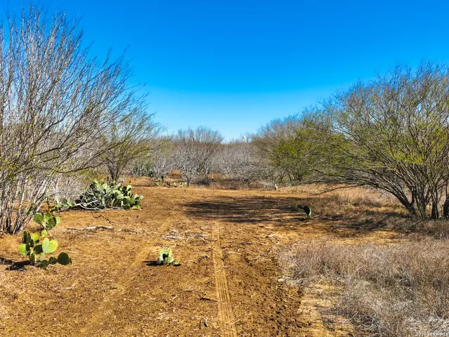 $349,000 | 32.04-acres Bluntzer, Jourdanton, TX 78026