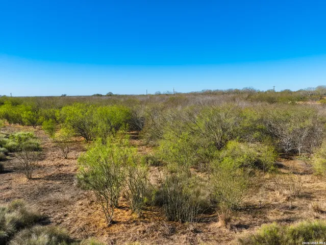 $349,000 | 32.04-acres Bluntzer, Jourdanton, TX 78026