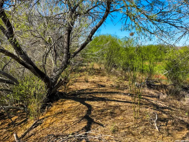 $349,000 | 32.04-acres Bluntzer, Jourdanton, TX 78026