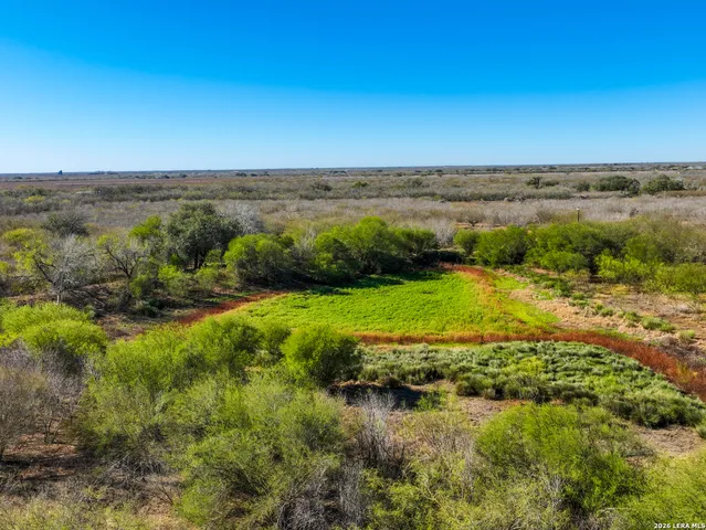 $349,000 | 32.04-acres Bluntzer, Jourdanton, TX 78026