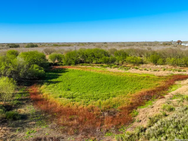$349,000 | 32.04-acres Bluntzer, Jourdanton, TX 78026