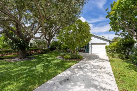 a view of a back yard with plants and large trees