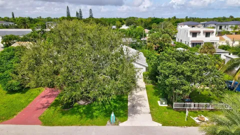 a view of a garden with a building in the background