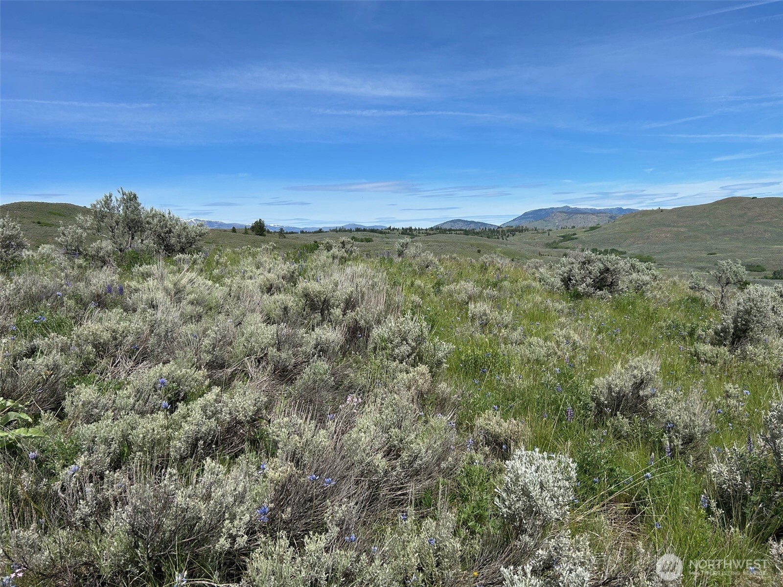 2 Ellemeham Mountain Road Loomis, WA 98827 - Photo 4 of 8