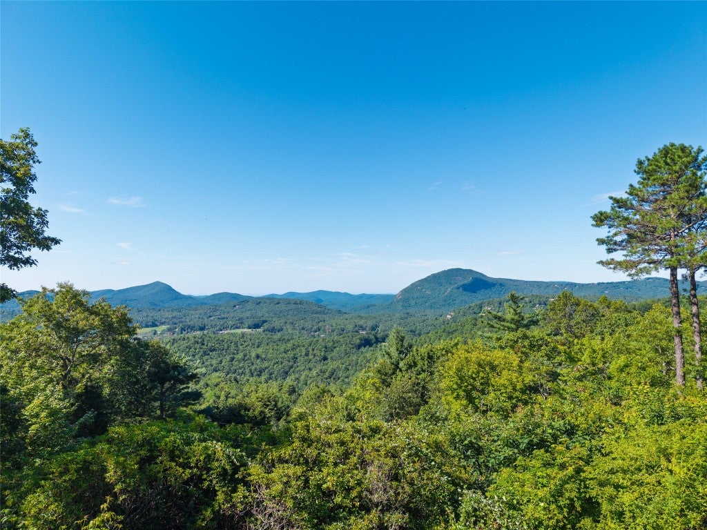 35 Corrie Dl Road Cashiers, NC 28717 - Photo 2 of 24 Gallery Image 2