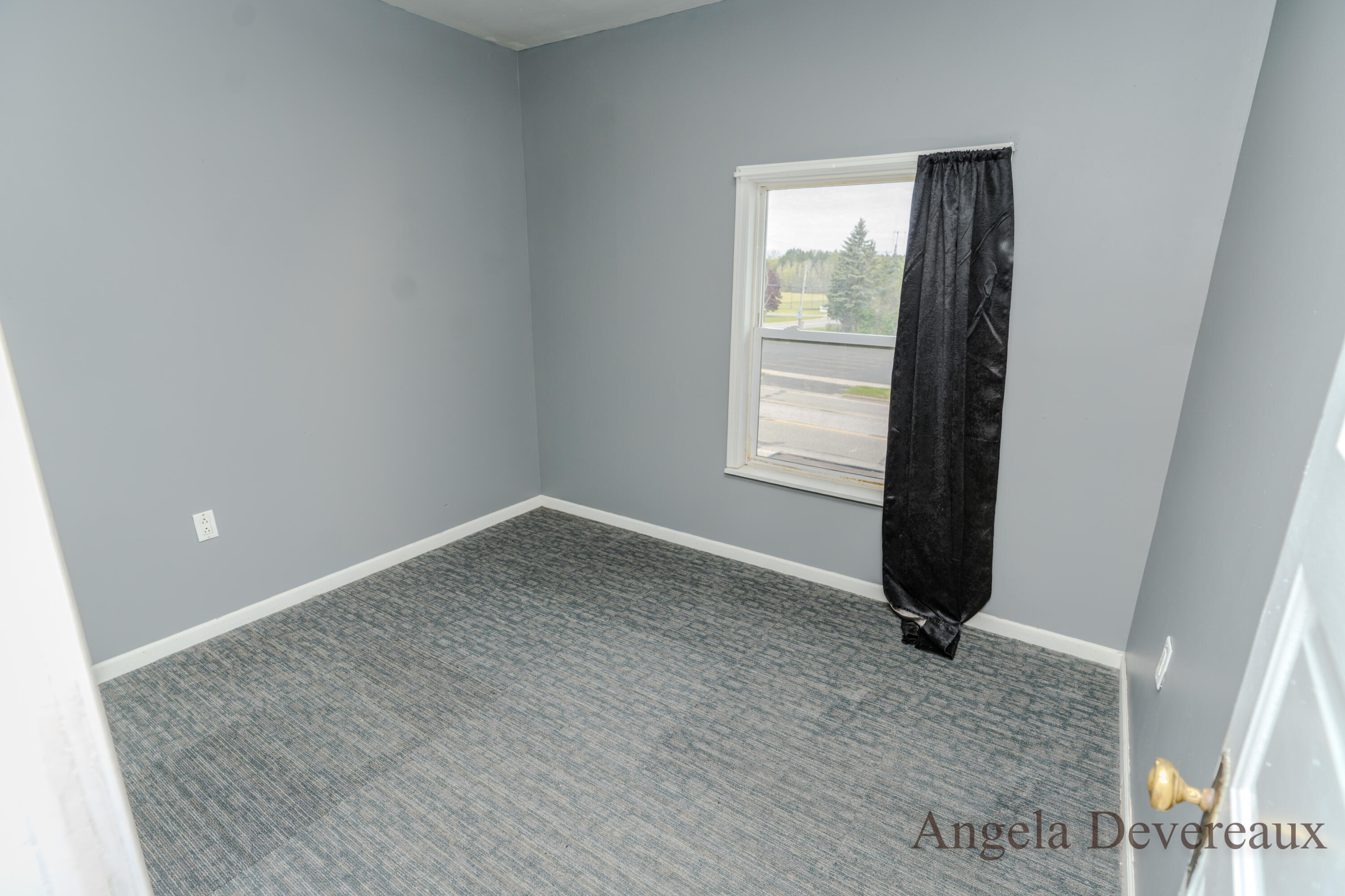 110 East Main Street Edmore, MI 48829 - Photo 35 of 44 DSC04215