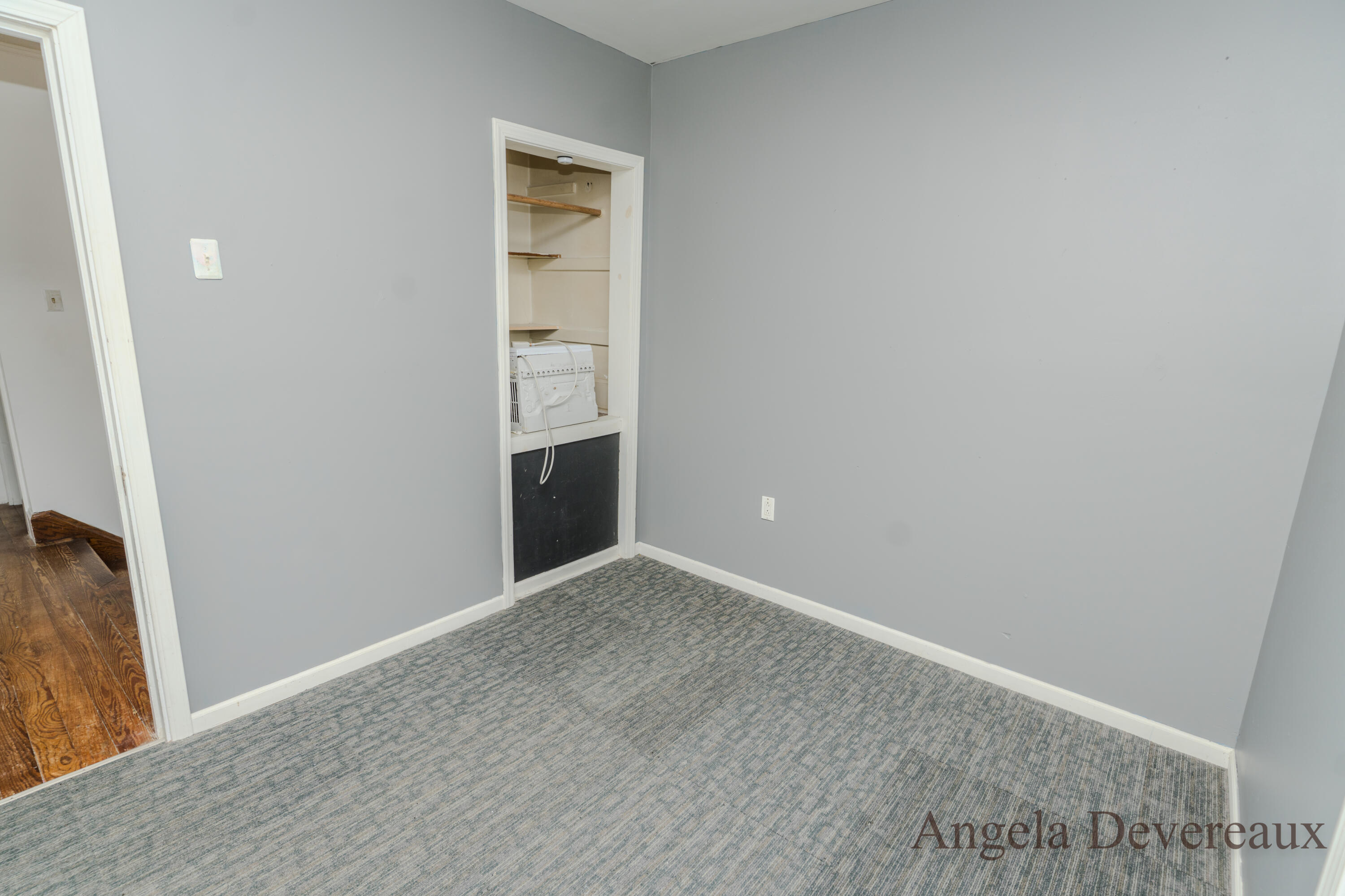 110 East Main Street Edmore, MI 48829 - Photo 37 of 44 DSC04217