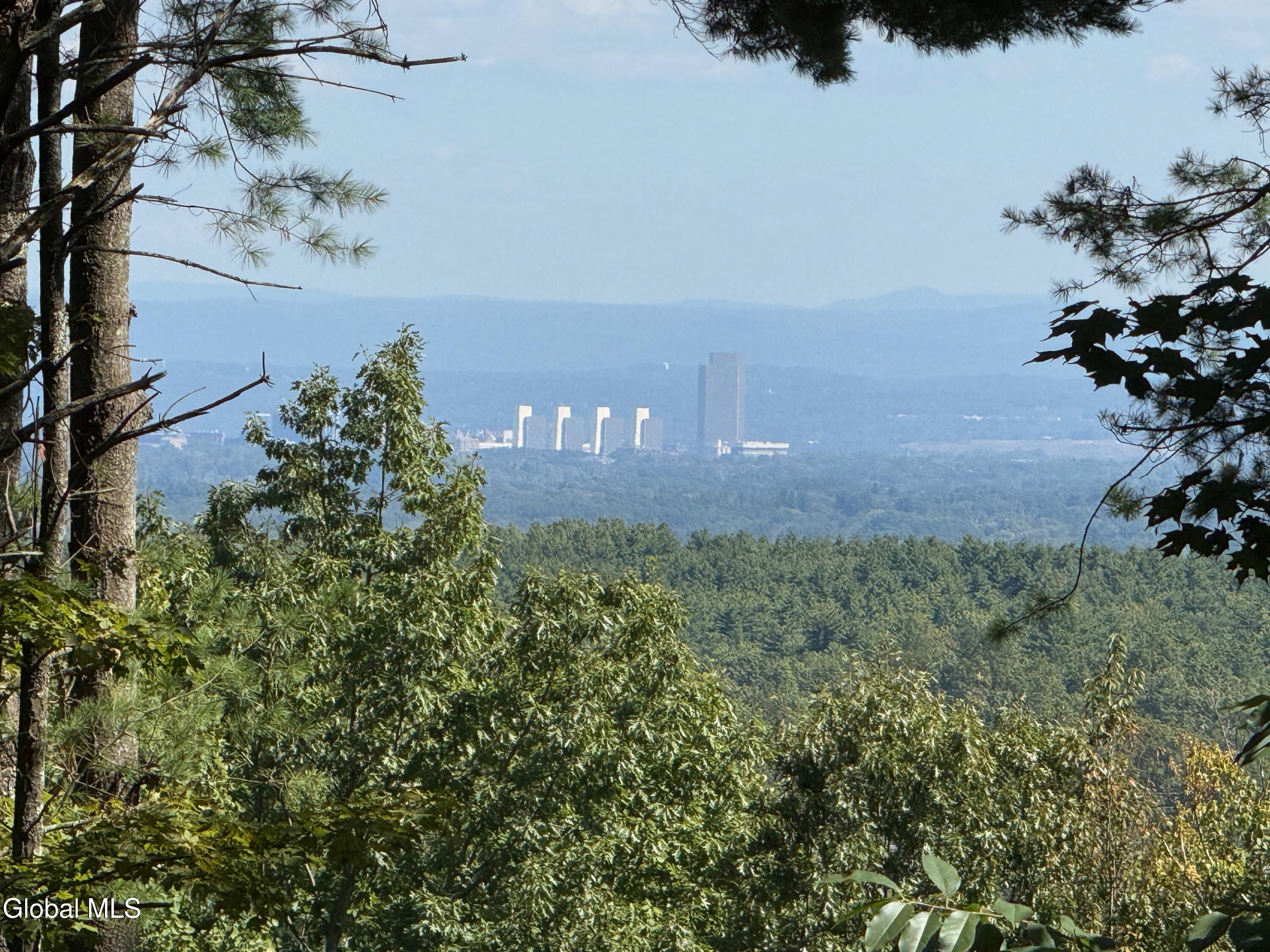 37 Deer Cliff Road New Scotland, NY 12186 - Photo 5 of 71 4a