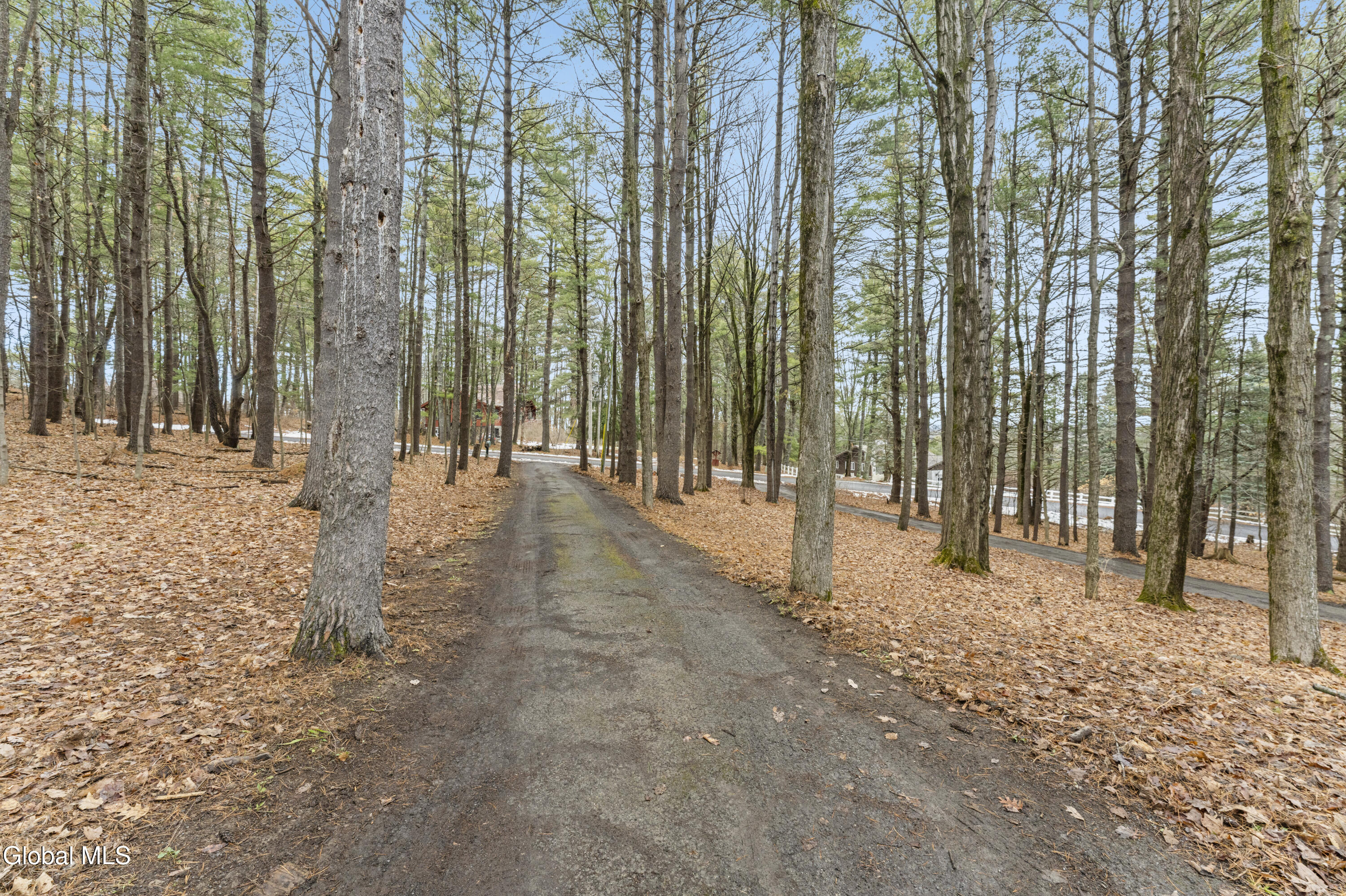 37 Deer Cliff Road New Scotland, NY 12186 - Photo 62 of 71 51