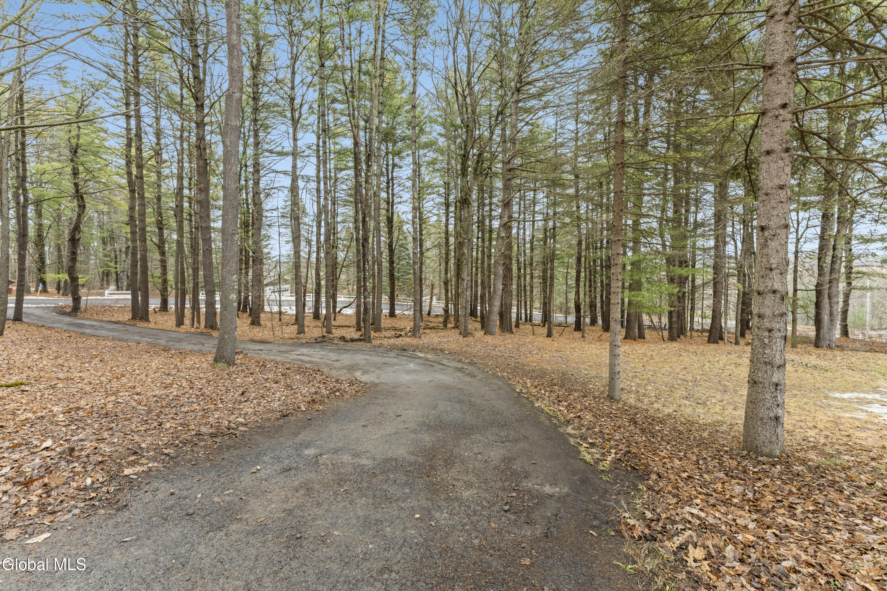 37 Deer Cliff Road New Scotland, NY 12186 - Photo 63 of 71 52