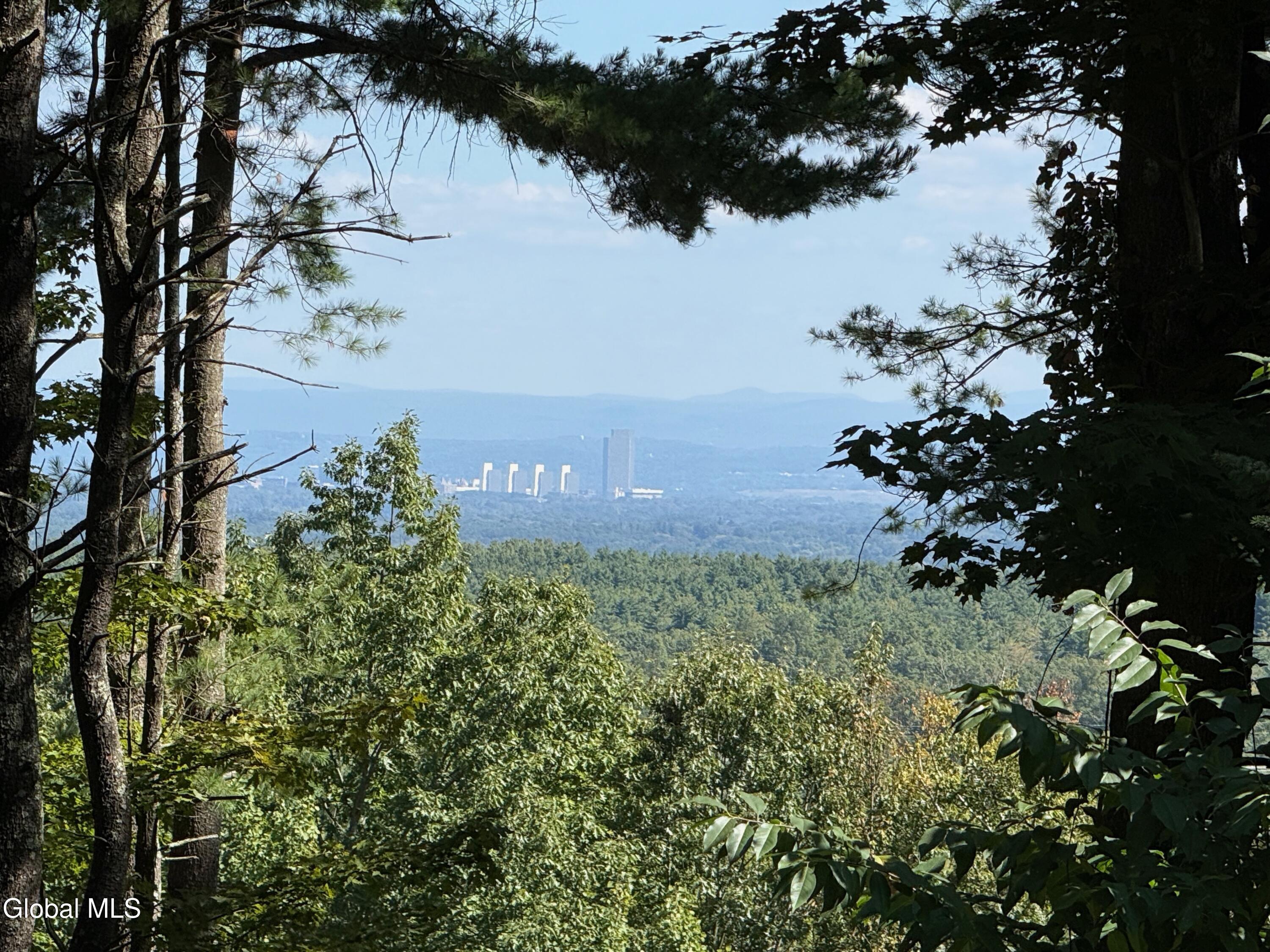 37 Deer Cliff Road New Scotland, NY 12186 - Photo 66 of 71 55