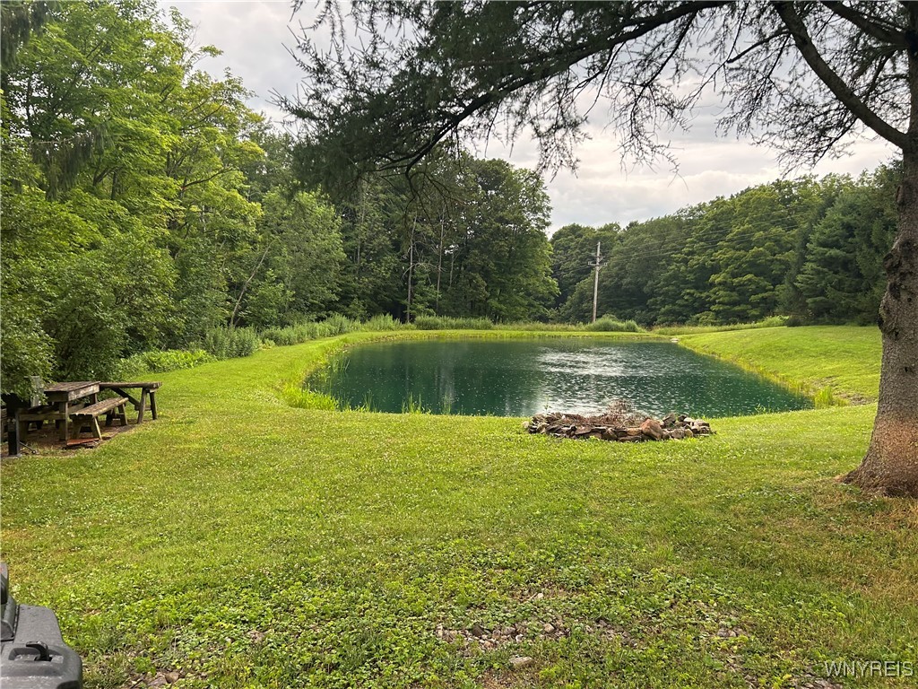 13270 Parker Road Holland, NY 14080 - Photo 1 of 5 clean and well kept pond