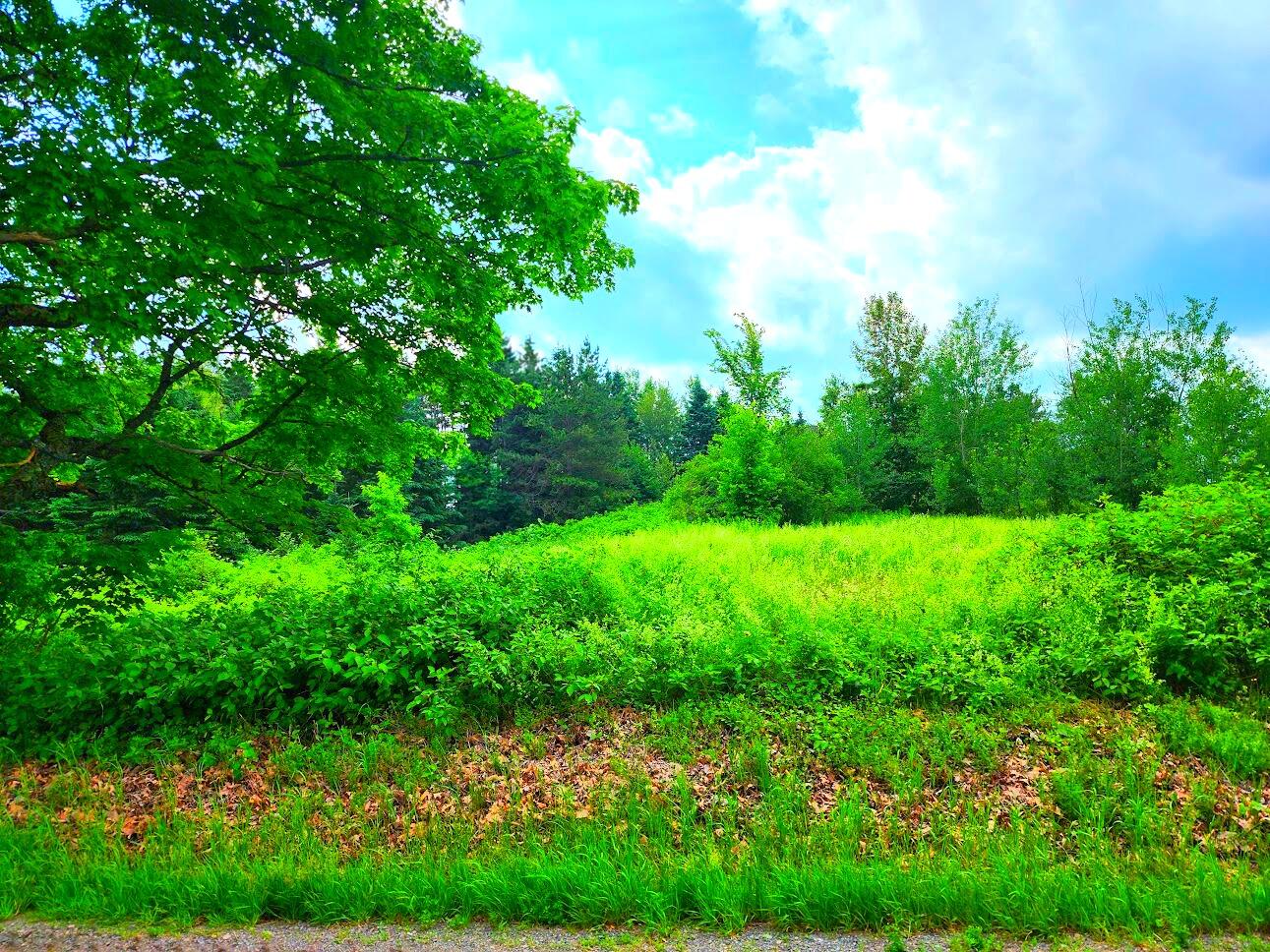 M11-l15 Noyes Road Limestone, ME 04750 - Photo 5 of 12 4
