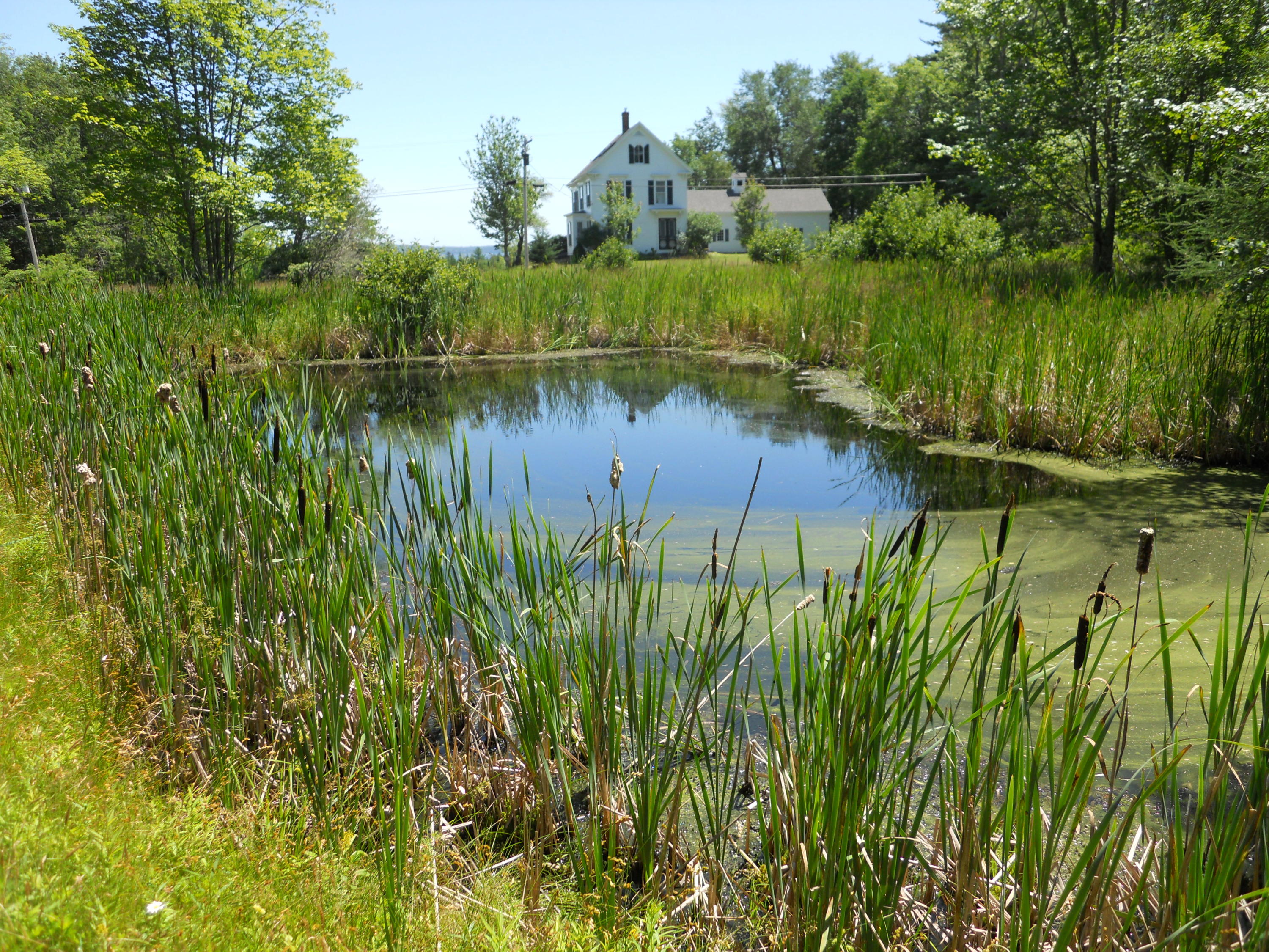1174 Main Road Islesboro, ME 04848 - Photo 15 of 29 WaterGlimpseDSCN0522