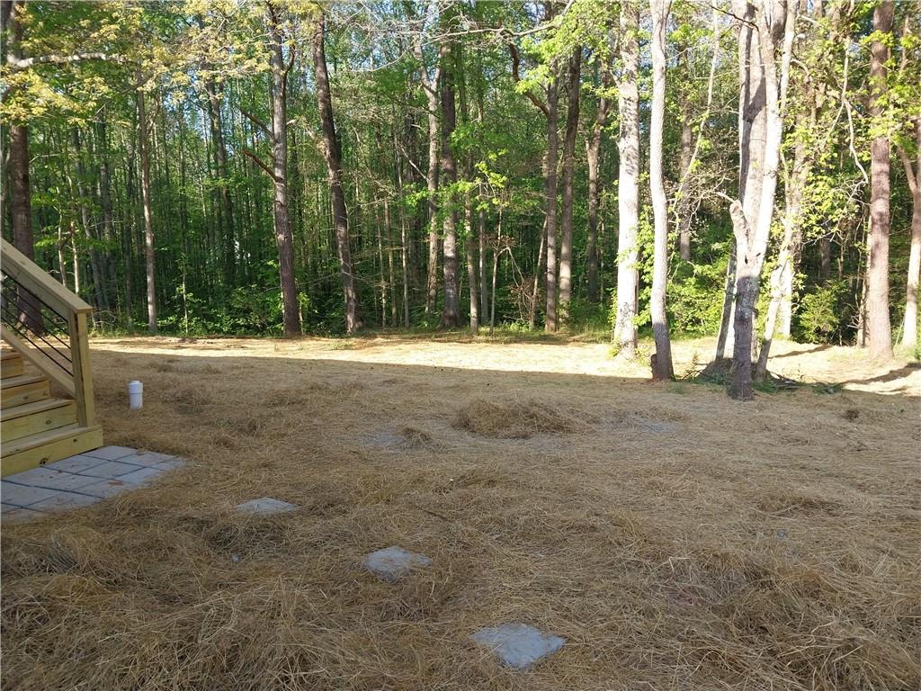 3278 Kelly Bridge Road Dawsonville, GA 30534 - Photo 20 of 20