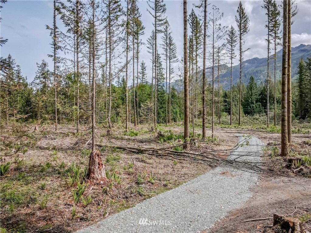 35-xx5 Mann Road, Unit LOT 5 Sultan, WA 98294 - Photo 6 of 11