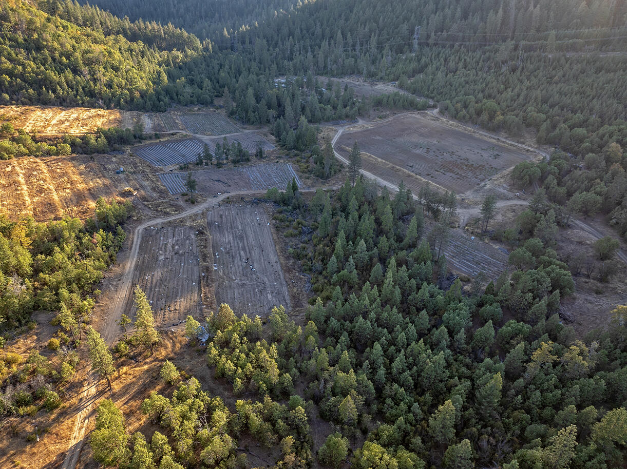 14738 Ramsey Road White City, OR 97503 - Photo 39 of 55 DJI_20241008174213_0094_D copy