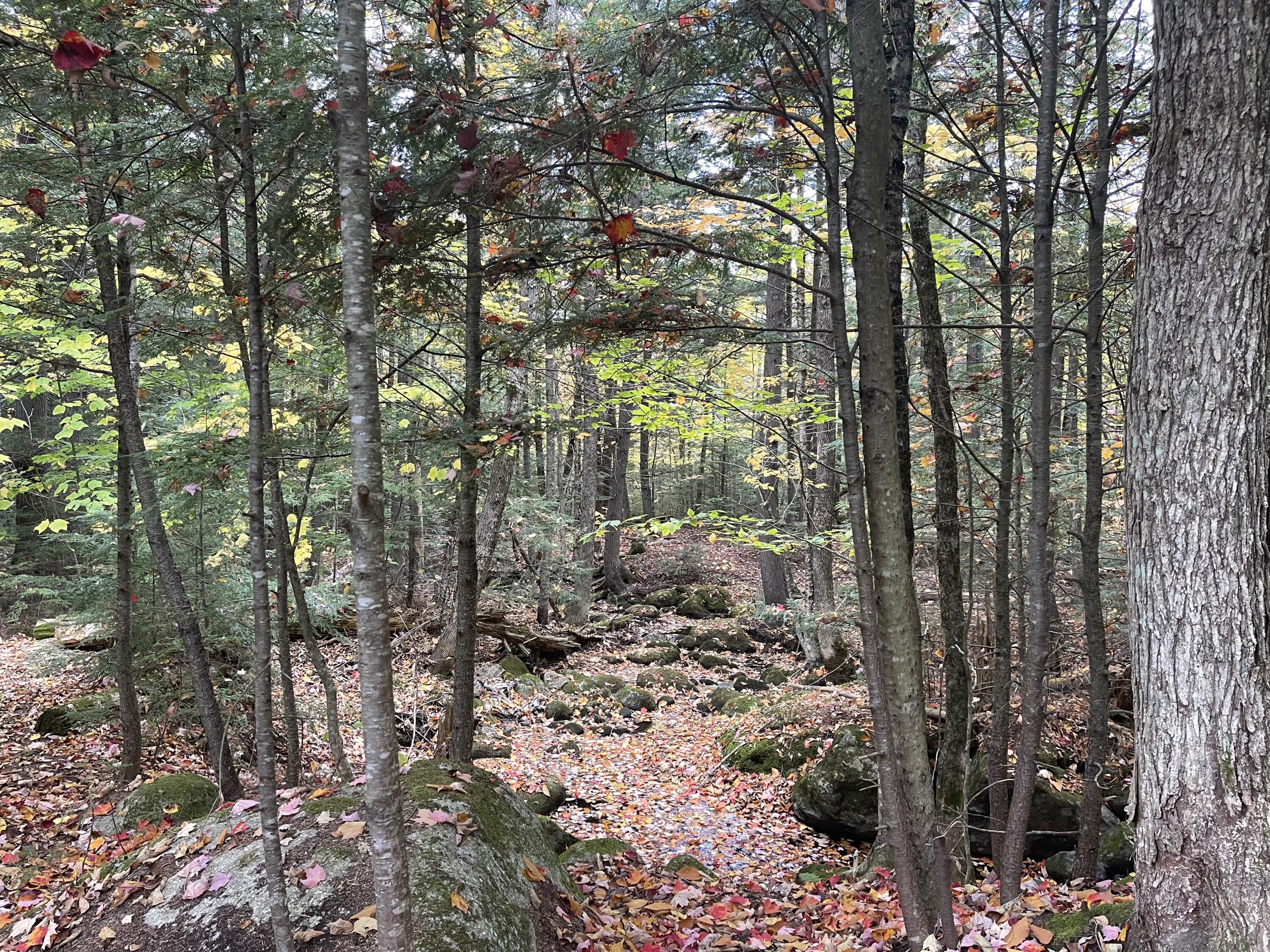 859 Greeley's Landing Road Dover-Foxcroft, ME 04426 - Photo 24 of 26 IMG_0576