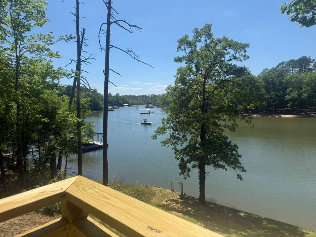460 Lakeview Street Abbeville, AL 36310 - Photo 17 of 22